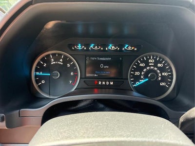 2019 Ford F-150 XLT 4WD SuperCrew 5.5' Box