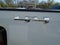 2024 GMC Sierra 2500 HD Double Cab Standard Box 4-Wheel Drive SLE