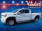 2020 GMC Sierra 1500 Double Cab Standard Box 4-Wheel Drive SLE